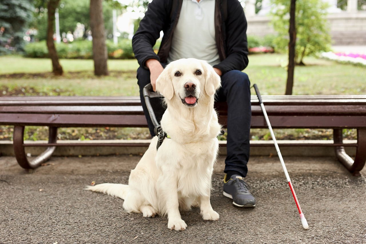 AdobeStock_365898892